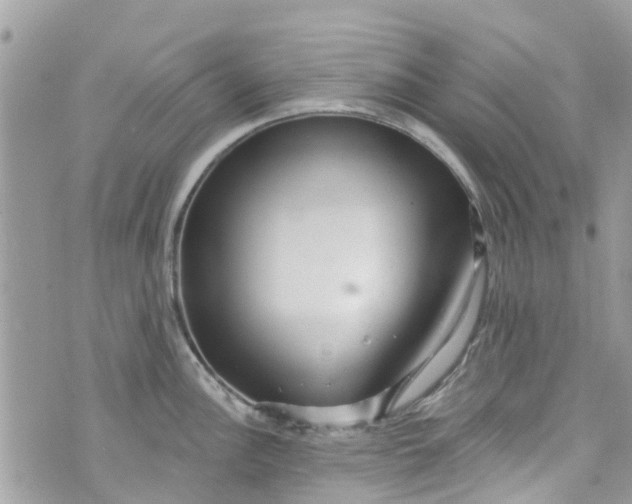 X0000072991148200608111800