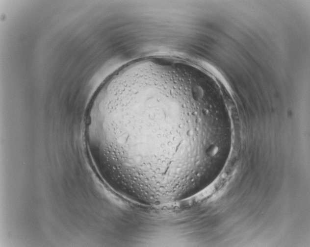 X0000072991149200608111800