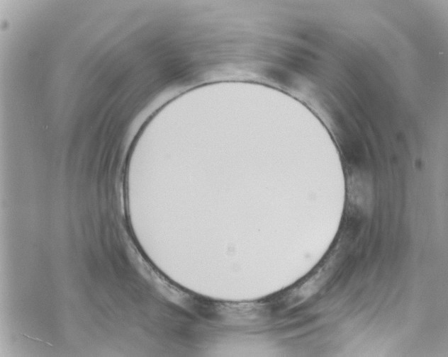 X0000072991150200608111800