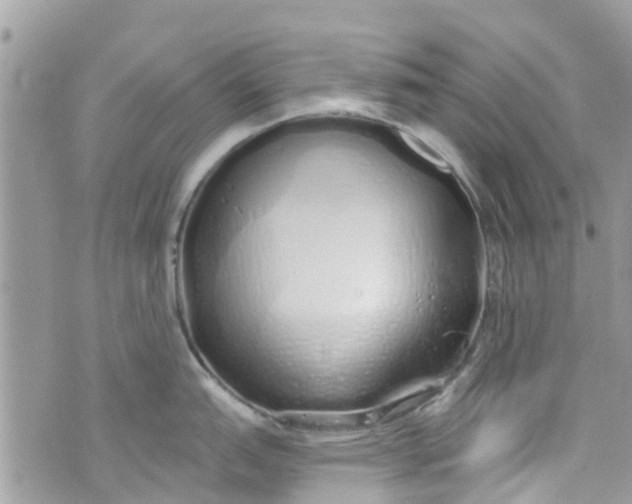 X0000072991151200608111800