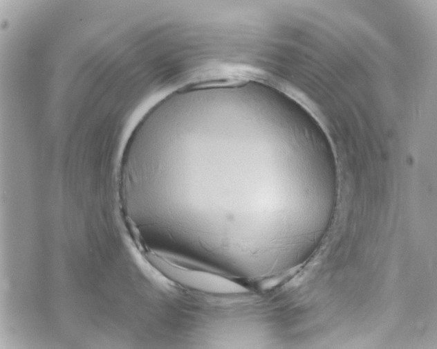 X0000072991152200608111800