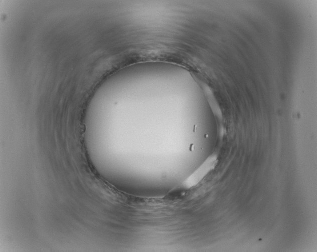 X0000072991153200608111800