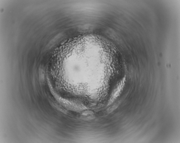 X0000072991154200608111800