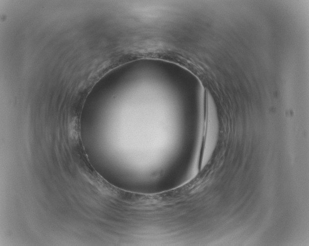 X0000072991156200608111800