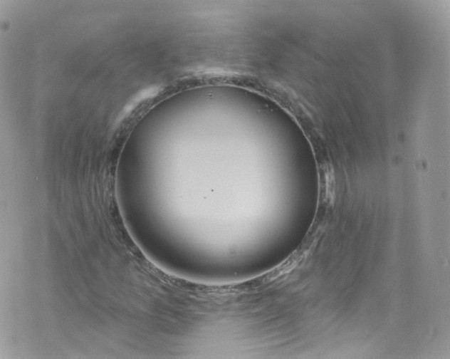 X0000072991157200608111800