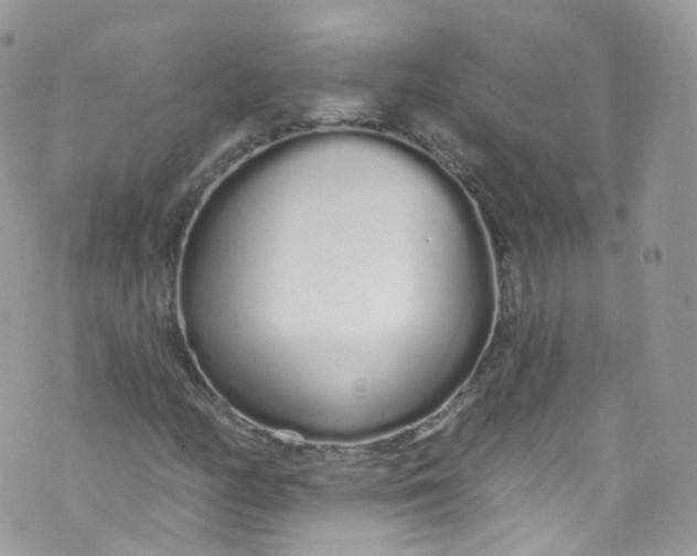 X0000072991158200608111800