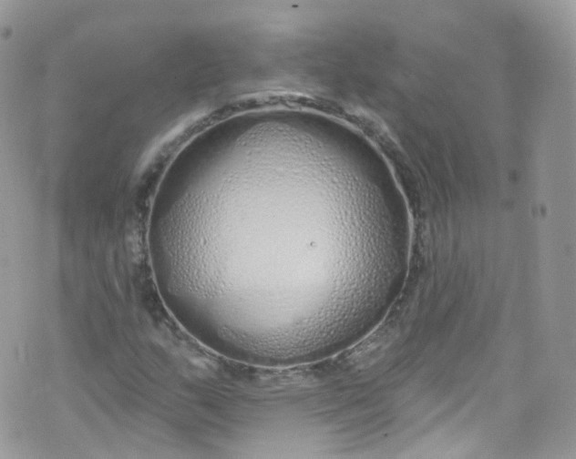 X0000072991159200608111800