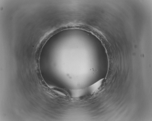 X0000072991160200608111800