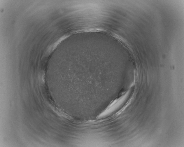 X0000072991161200608111800