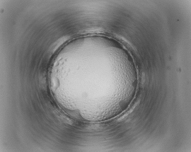 X0000072991162200608111800