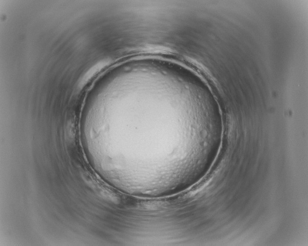 X0000072991163200608111800