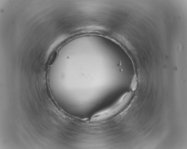 X0000072991164200608111800