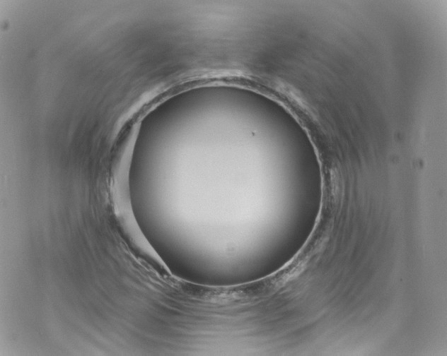 X0000072991165200608111800