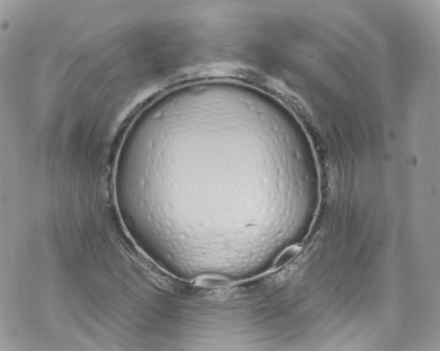 X0000072991166200608111759