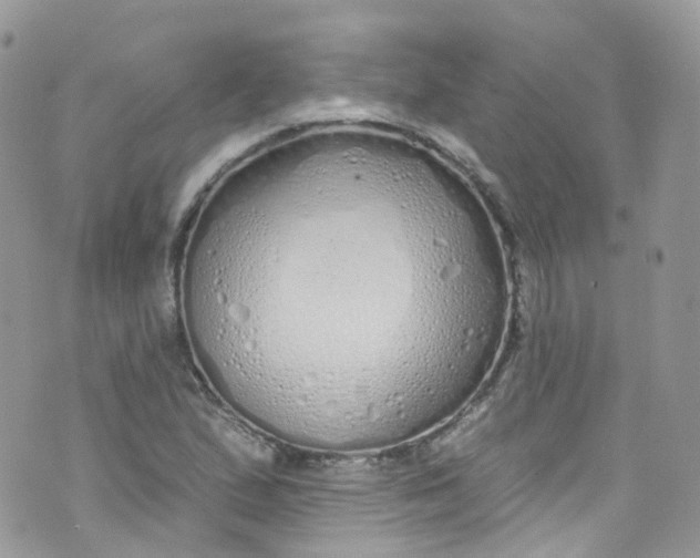 X0000072991167200608111759