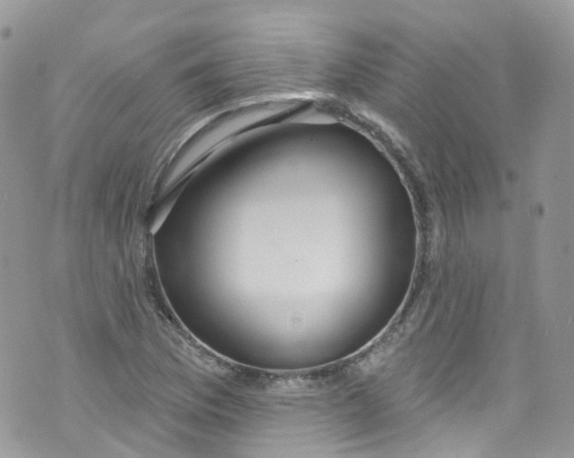 X0000072991169200608111759