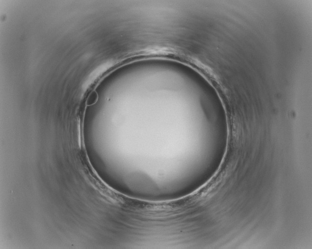 X0000072991171200608111759