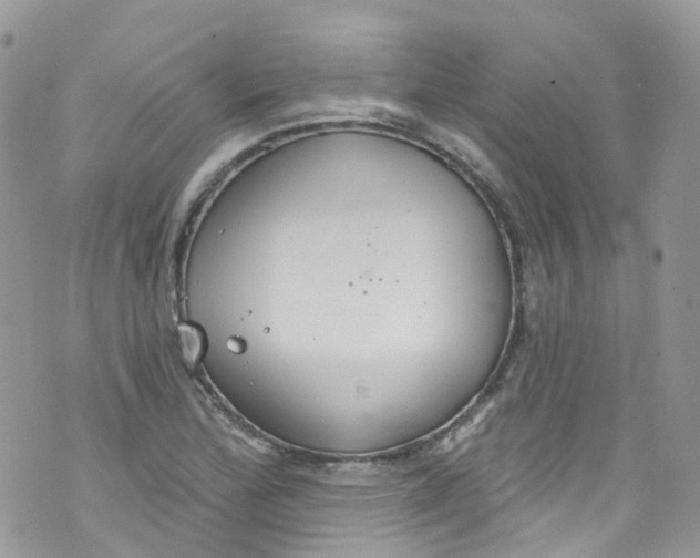 X0000072991172200608111759