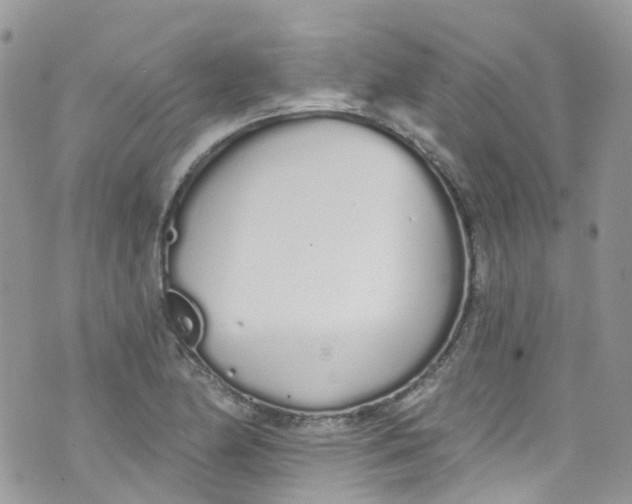 X0000072991174200608111759