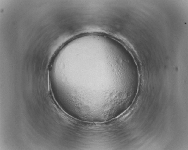 X0000072991175200608111759