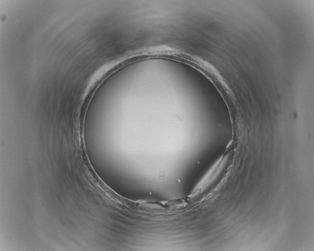 X0000072991176200608111759