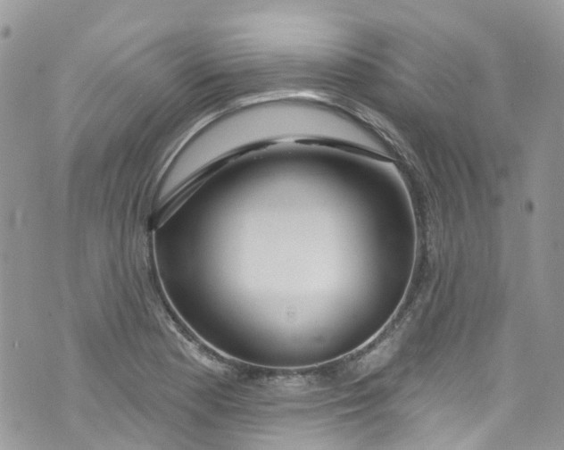 X0000072991177200608111759