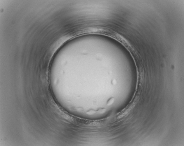 X0000072991178200608111759