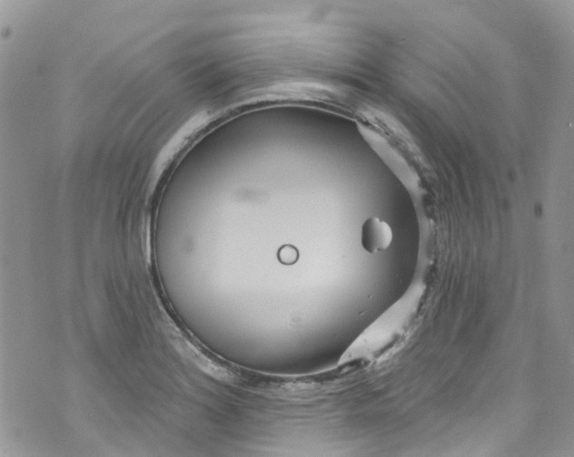 X0000072991180200608111759