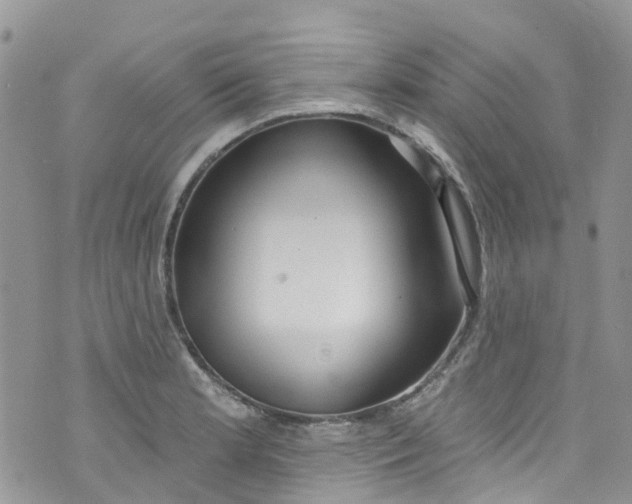 X0000072991181200608111759