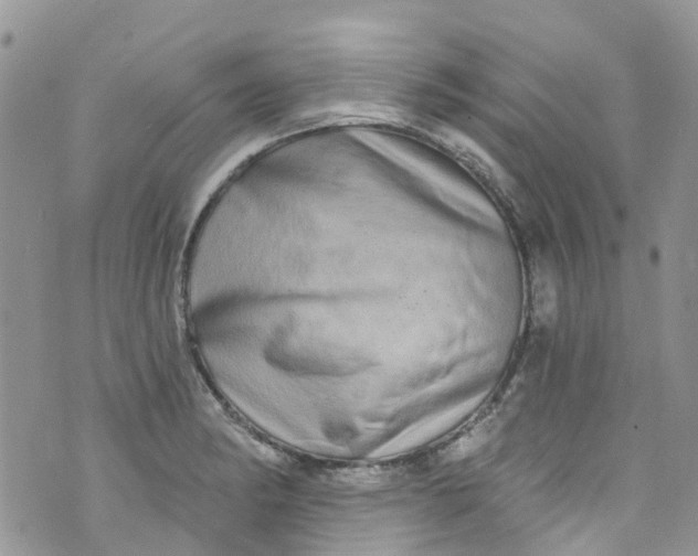 X0000072991182200608111759