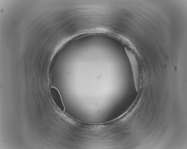 X0000072991184200608111759