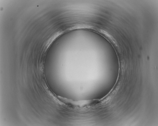 X0000072991185200608111759