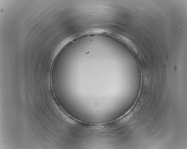 X0000072991186200608111759