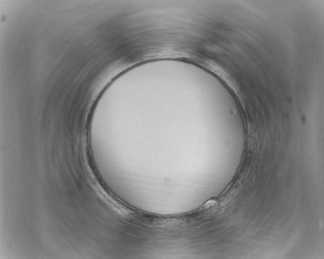 X0000072991187200608111759