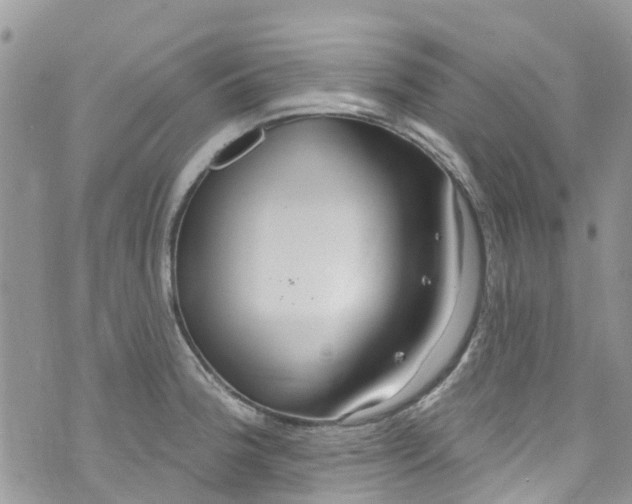 X0000072991188200608111759