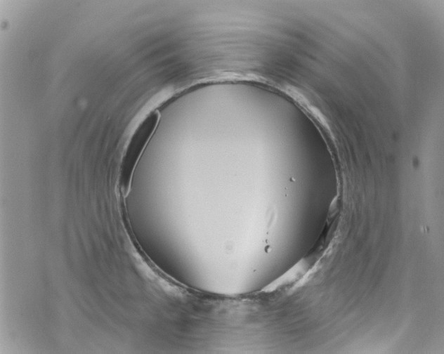 X0000072991189200608111759