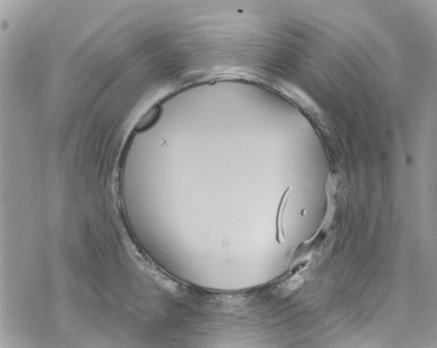 X0000072991190200608111759