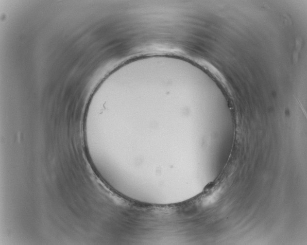 X0000072991191200608111759