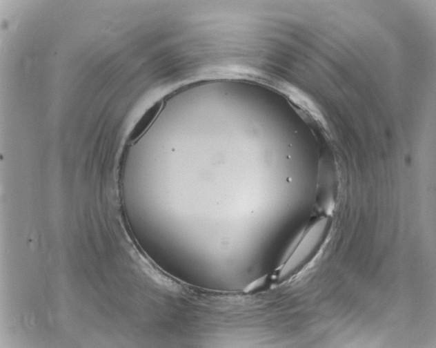 X0000072991192200608111759