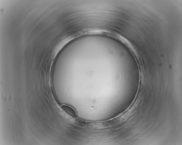 X0000072991194200608111759