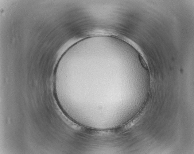 X0000072991195200608111759