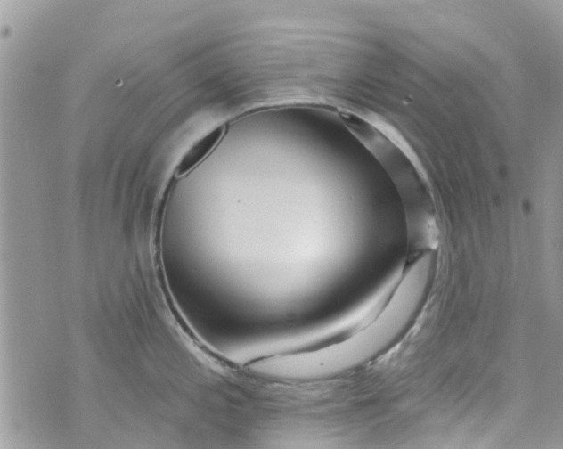 X0000072991197200608111759