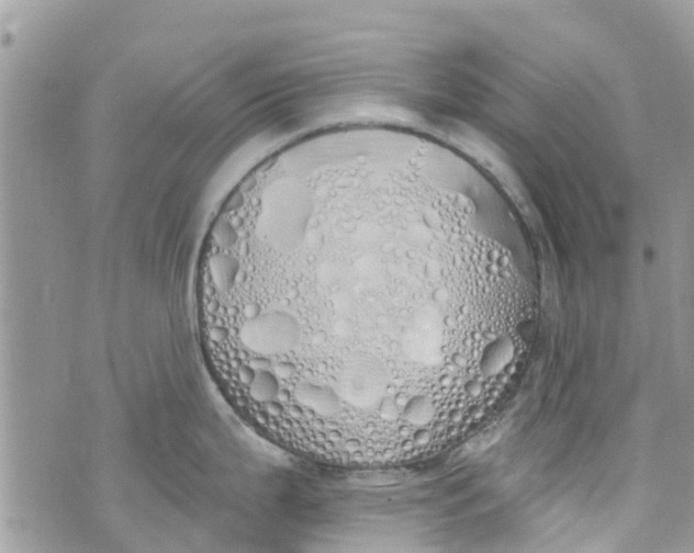 X0000072991199200608111759