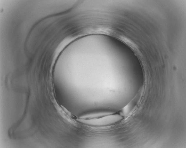 X0000072991200200608111759