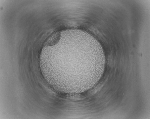 X0000072991201200608111758