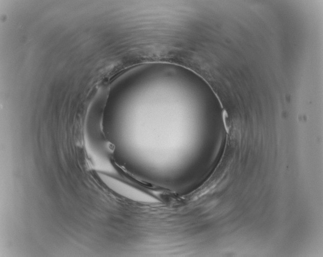 X0000072991202200608111758