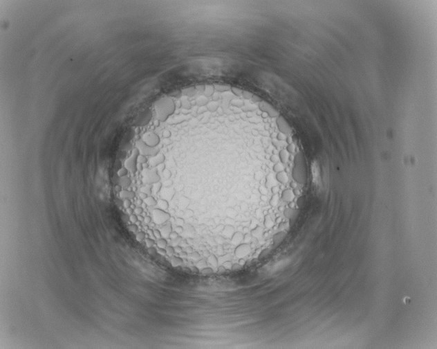 X0000072991203200608111758