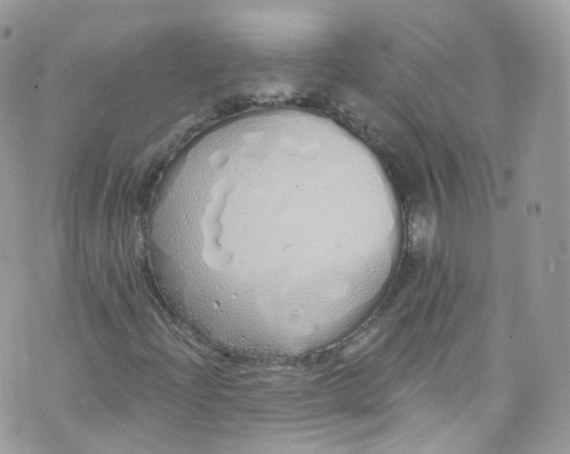 X0000072991204200608111758