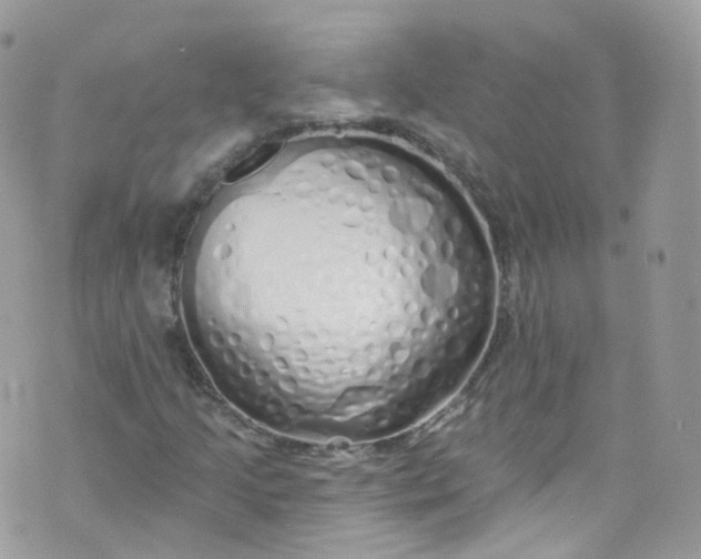 X0000072991205200608111758