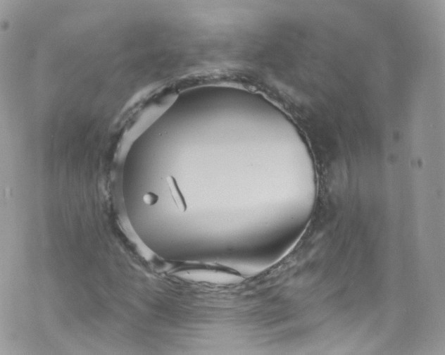 X0000072991206200608111758